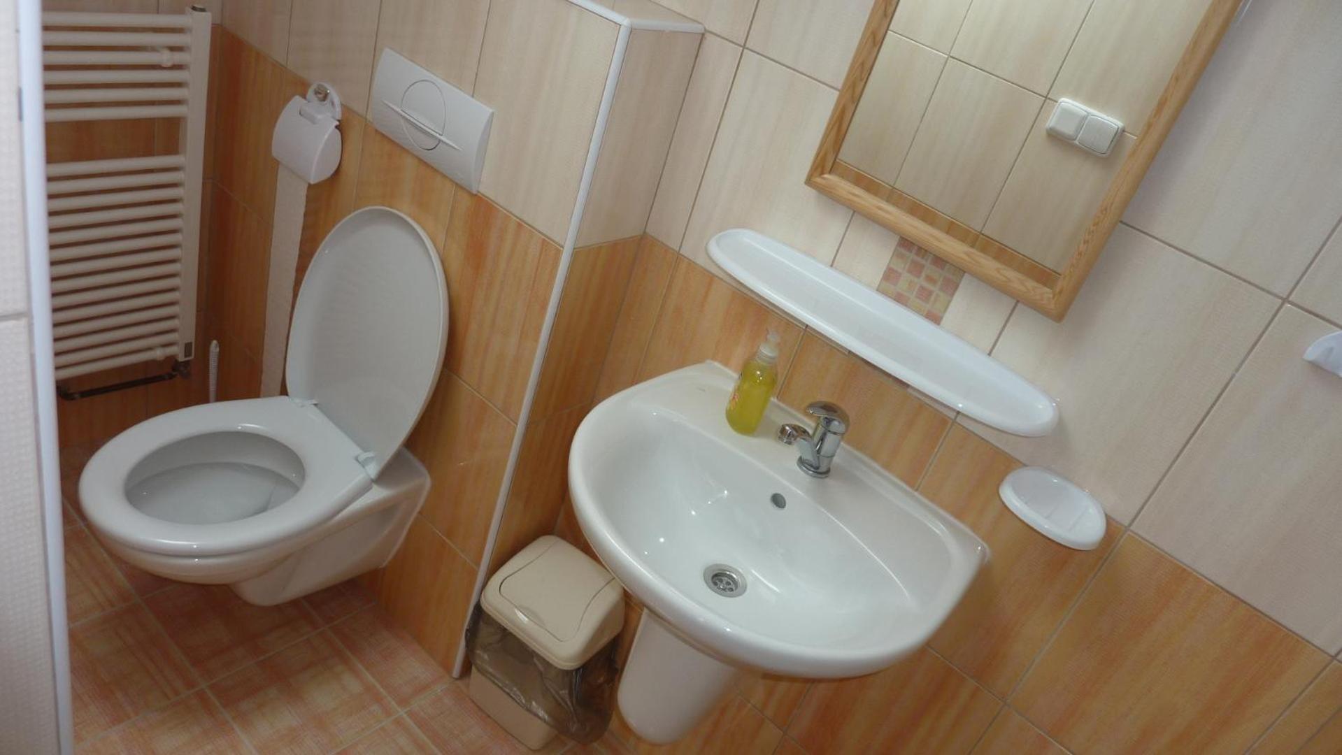 Penzion Slavka Třemošnice Dış mekan fotoğraf